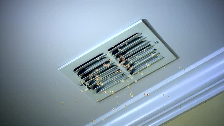 Best Ventilation Cleaning Services  in Stedman, NC